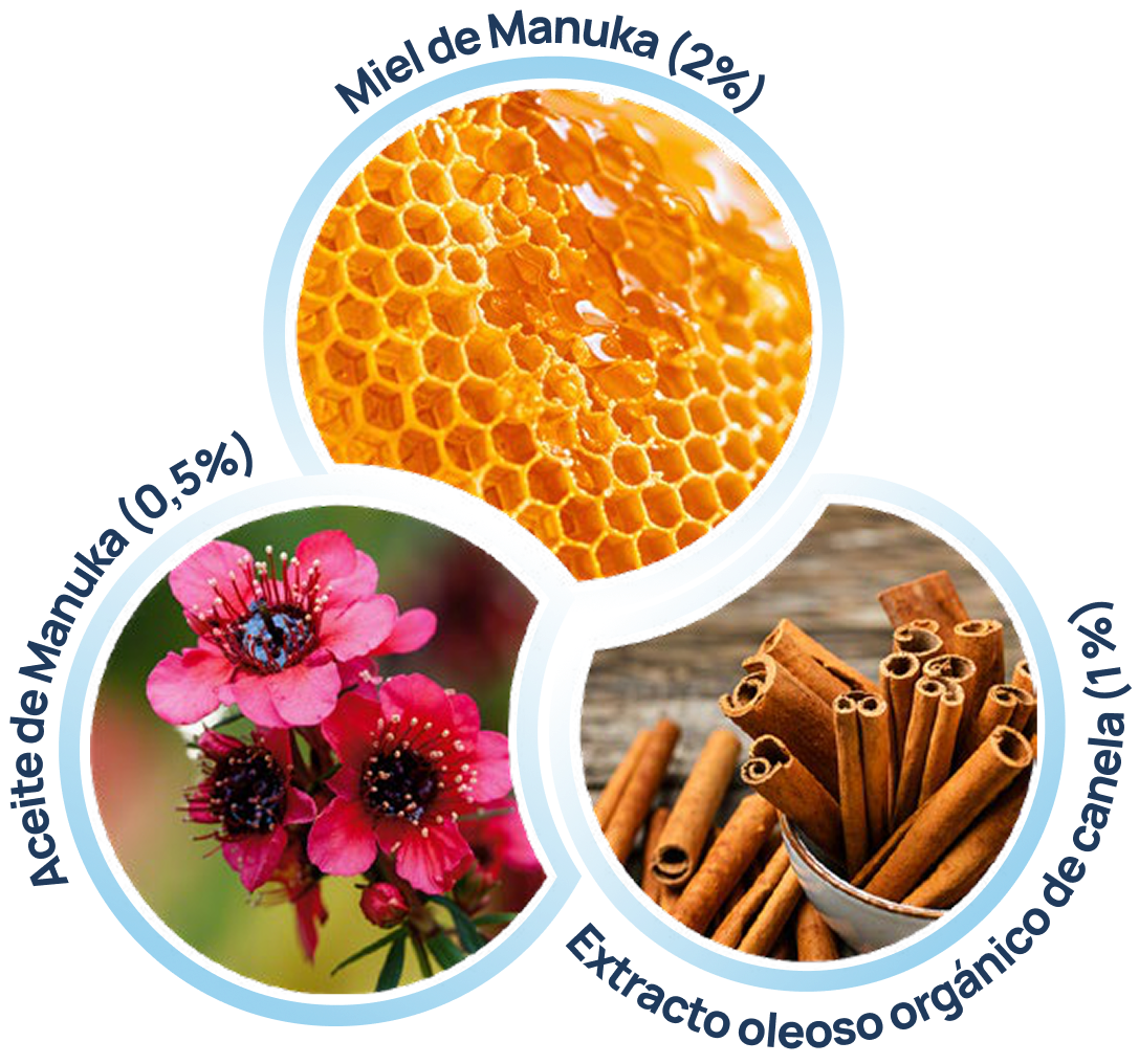 Miel de Manuka 2%, Aceite de Manuka 0,5%, Extracto oleoso orgánico de Canela 1%